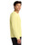 Light Yellow-4