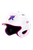 White2-1