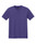 Purple Frost-1