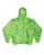 SPIDER LIME-1