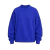 Electric Blue-1