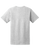 ASH-2
