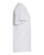 ASH-4