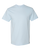 CHAMBRAY-1