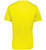 ELECTRIC YELLOW-2