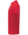 SCARLET-3
