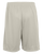 SILVER GREY-2