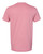 PLUMROSE-2