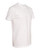 White-4