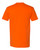 CLASSIC ORANGE-2