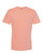 DESERT PINK-1