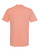 DESERT PINK-2