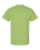 KIWI-2