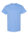 CAROLINA BLUE-1