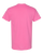 AZALEA-2