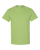 KIWI-1