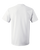 White-2