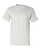 ASH-1