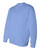 CAROLINA BLUE-3