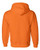 SAFETY ORANGE-2