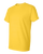 DAISY-3