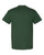 DARK GREEN-2