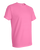 AZALEA-4