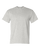 ASH-1