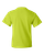NEON GREEN-2