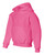 NEON PINK-2