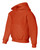 BURNT ORANGE-3
