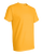 Gold-4
