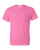 AZALEA-1