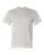 ASH-1