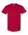 Cardinal-1