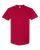 Cardinal-1