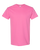 AZALEA-1