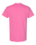AZALEA-2