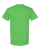 ELECTRIC GREEN-2