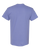 VIOLET-2