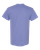 VIOLET-2