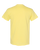 CORNSILK-2