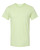 Spring Green-1