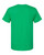 IRISH GREEN HEATHER-2