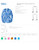 SizeChart-1
