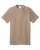 SAND-1