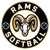 TEAM STICKER
