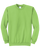 Lime-1