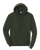 OLIVE-1