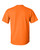 SAFETY ORANGE-2